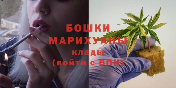ПСИЛОЦИБИНОВЫЕ ГРИБЫ Белоозёрский