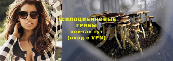 амф Беломорск