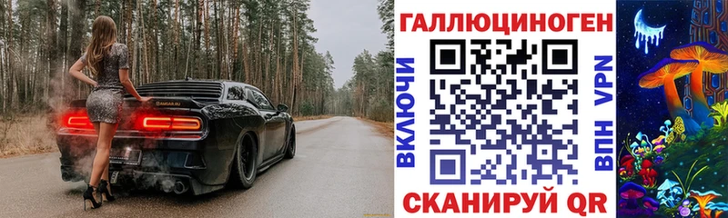 ссылка на мегу сайт  дарнет шоп  Славгород  Галлюциногенные грибы MAGIC MUSHROOMS 
